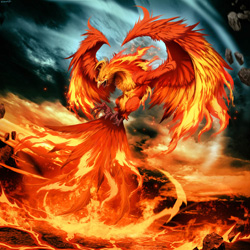 User Avatar (phoenix)